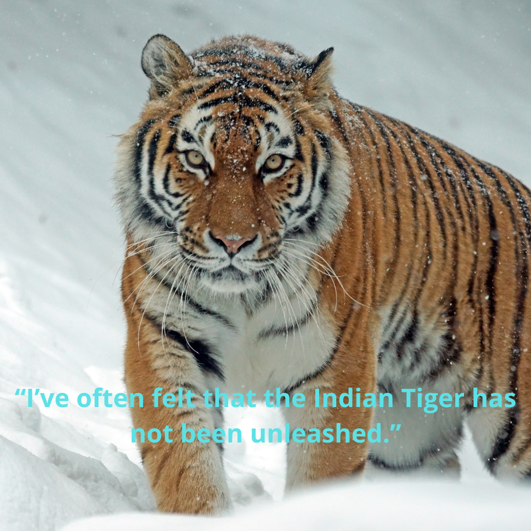 “I’ve often felt that the Indian Tiger has not been unleashed.”