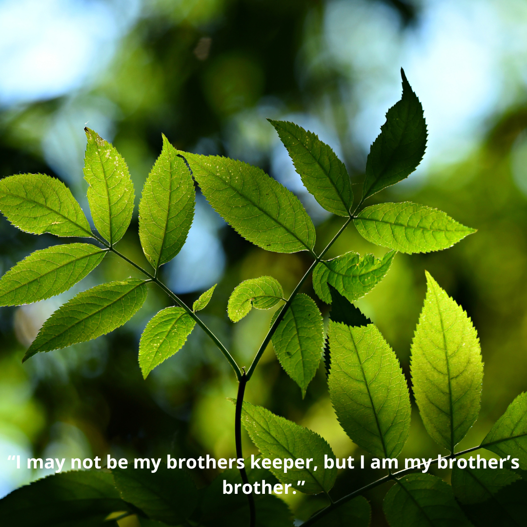“I may not be my brothers keeper, but I am my brother’s brother.”