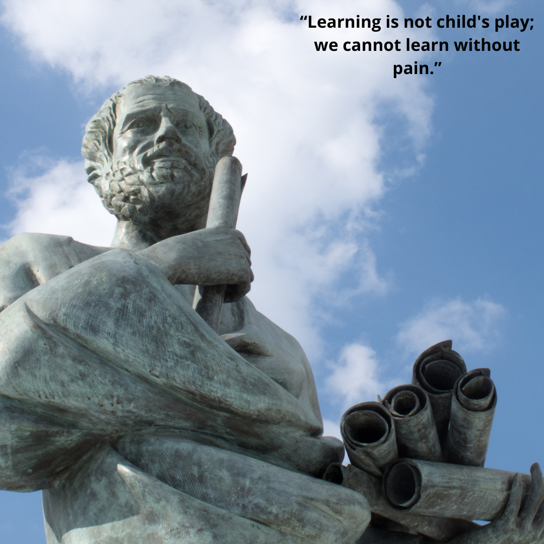 “Learning is not child's play; we cannot learn without pain.”
