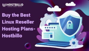 Buy the Best Linux Reseller Hosting Plans- Hostbillo