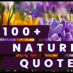 100+Nature Quotes