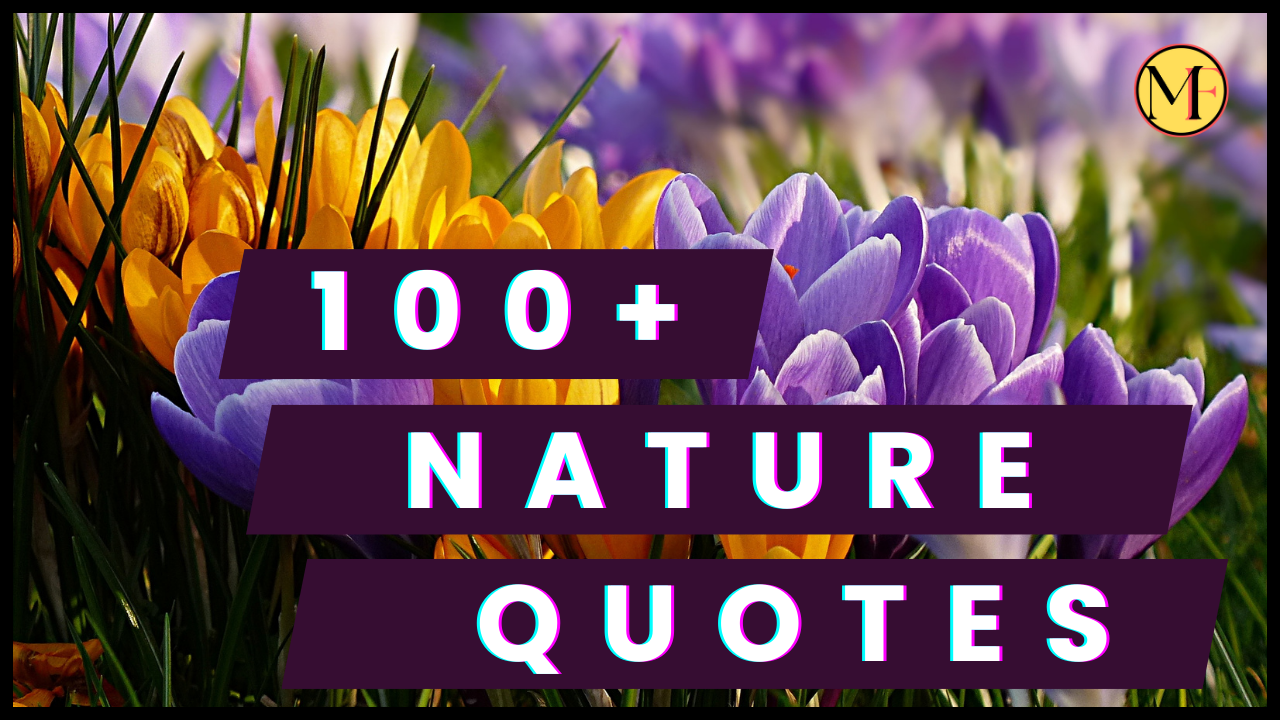 100+Nature Quotes