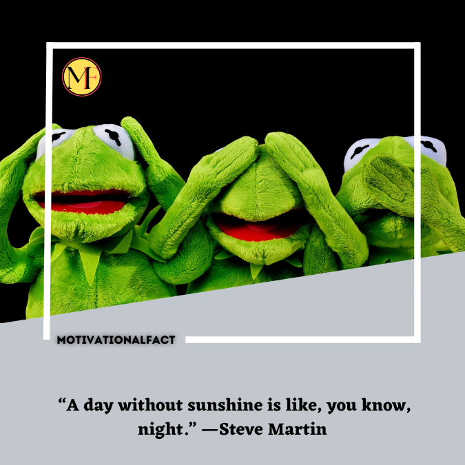  “A day without sunshine is like, you know, night.” —Steve Martin
