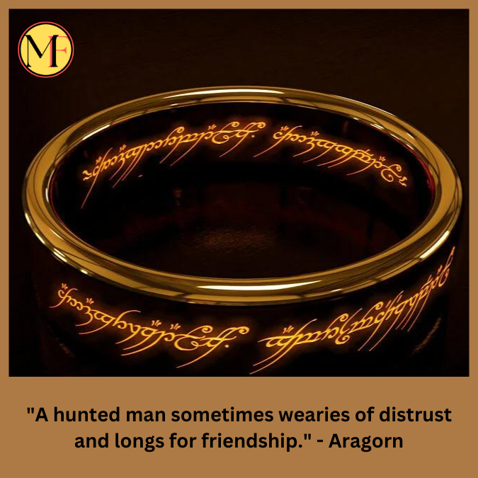 "A hunted man sometimes wearies of distrust and longs for friendship." - Aragorn