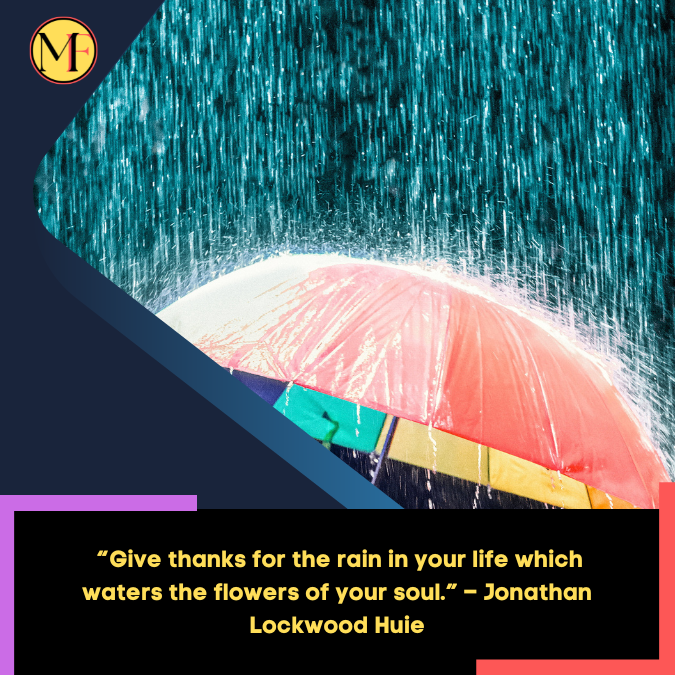 _“Give thanks for the rain in your life which waters the flowers of your soul.” – Jonathan Lockwood Huie