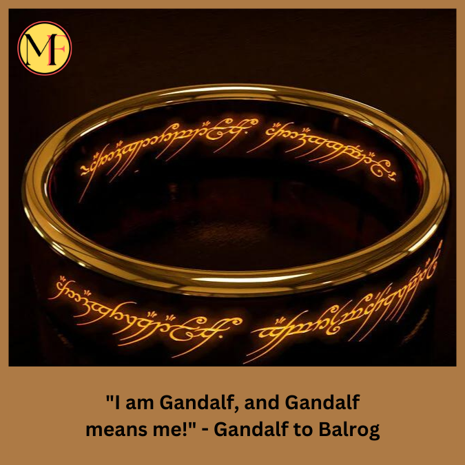 "I am Gandalf, and Gandalf means me!" - Gandalf to Balrog