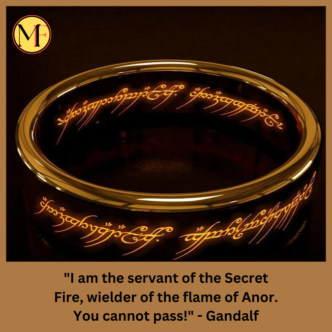 "I am the servant of the Secret Fire, wielder of the flame of Anor. You cannot pass!" - Gandalf"I am the servant of the Secret Fire, wielder of the flame of Anor. You cannot pass!" - Gandalf