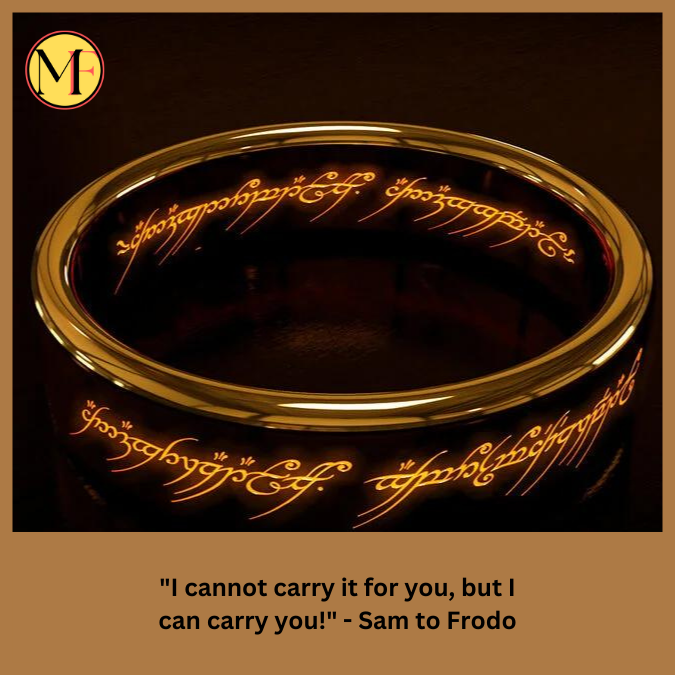 "I cannot carry it for you, but I can carry you!" - Sam to Frodo