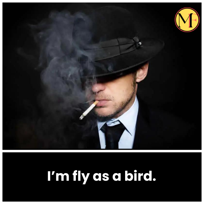 I’m fly as a bird.