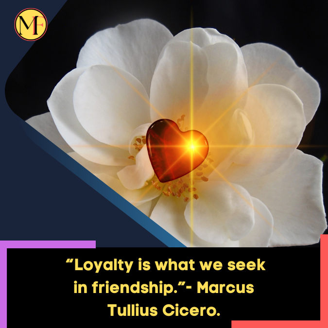 _“Loyalty is what we seek in friendship.”- Marcus Tullius Cicero.