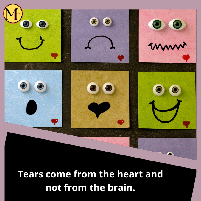 Tears come from the heart and not from the brain.