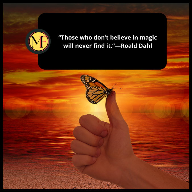 “Those who don’t believe in magic will never find it.”—Roald Dahl