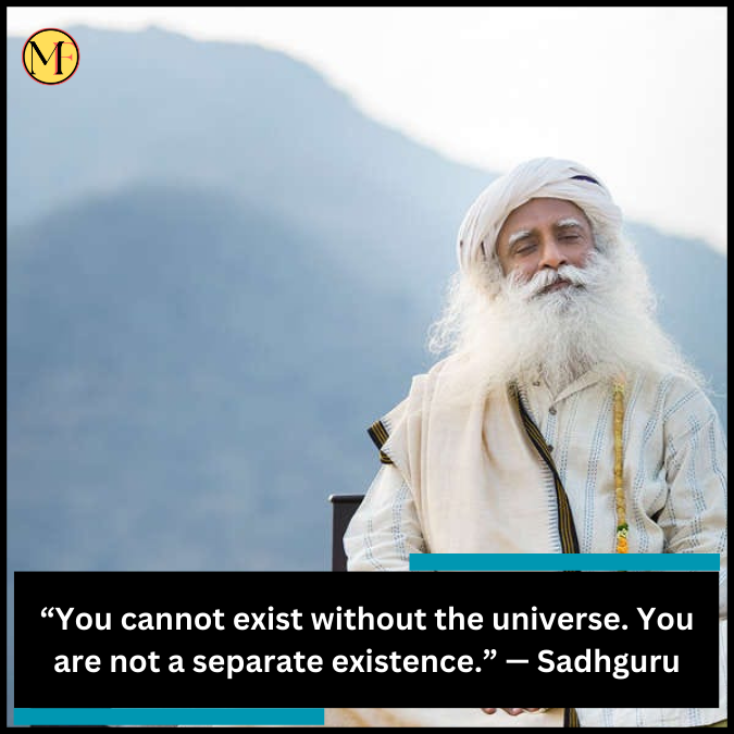 “You cannot exist without the universe. You are not a separate existence.” — Sadhguru