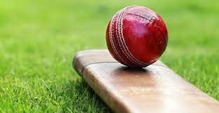 Some important things about cricket betting