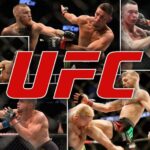 A Guide to Betting on the UFC