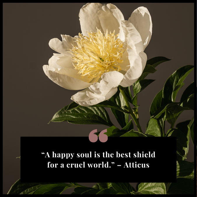 “A happy soul is the best shield for a cruel world.” – Atticus