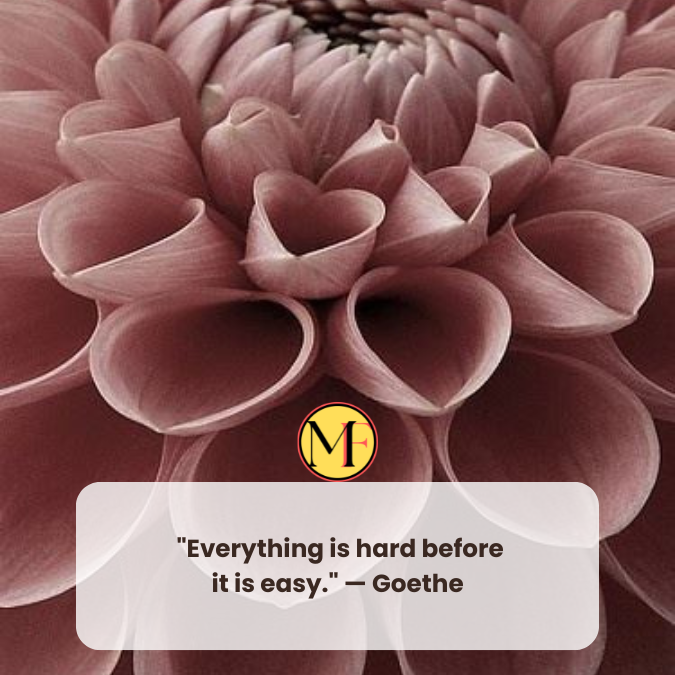  "Everything is hard before it is easy." — Goethe