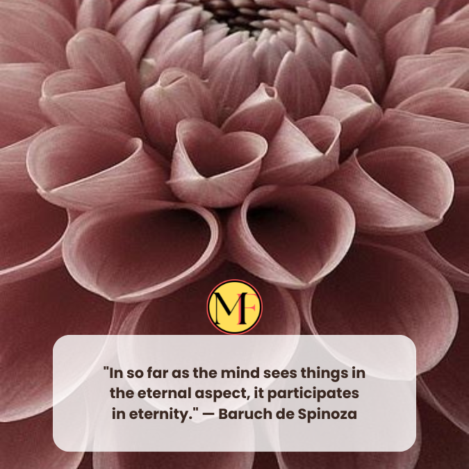 "In so far as the mind sees things in the eternal aspect, it participates in eternity." — Baruch de Spinoza
