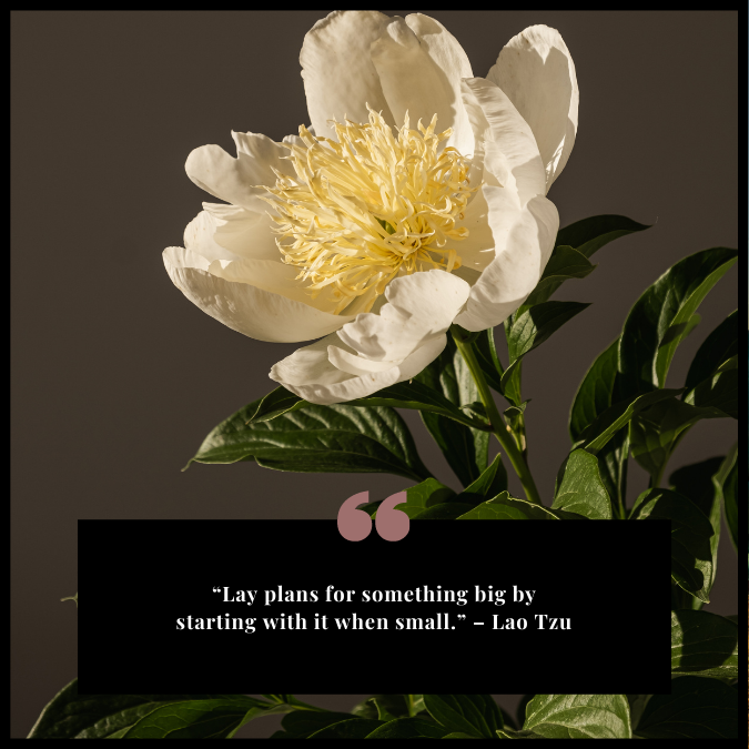 “Lay plans for something big by starting with it when small.” – Lao Tzu