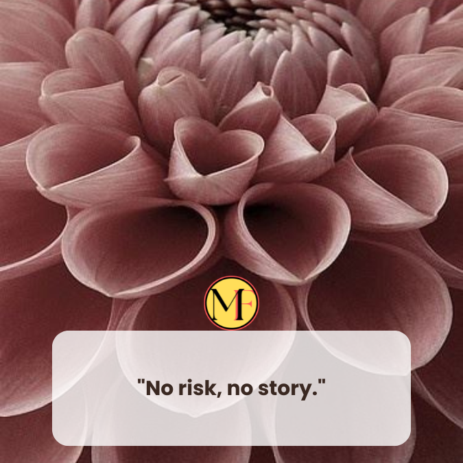 "No risk, no story."