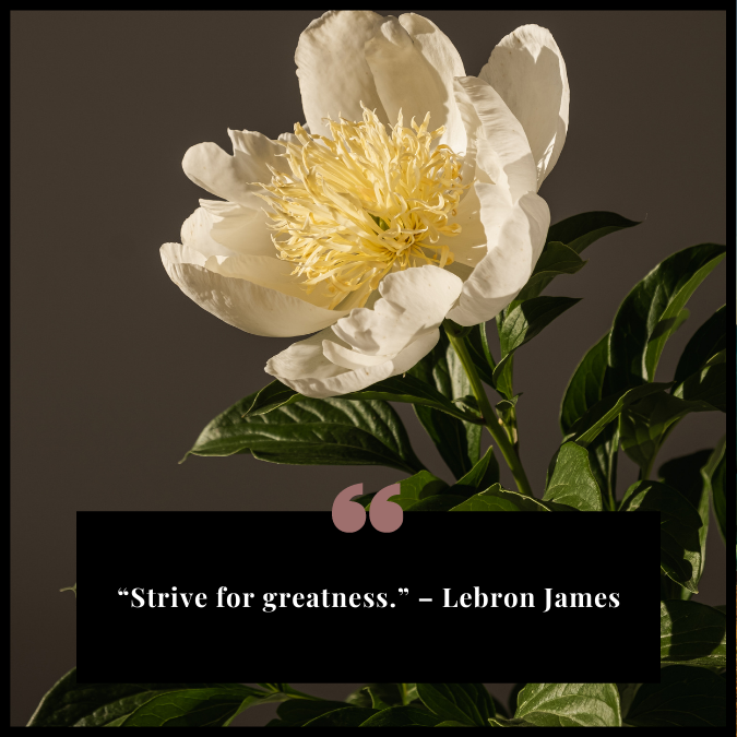 “Strive for greatness.” – Lebron James