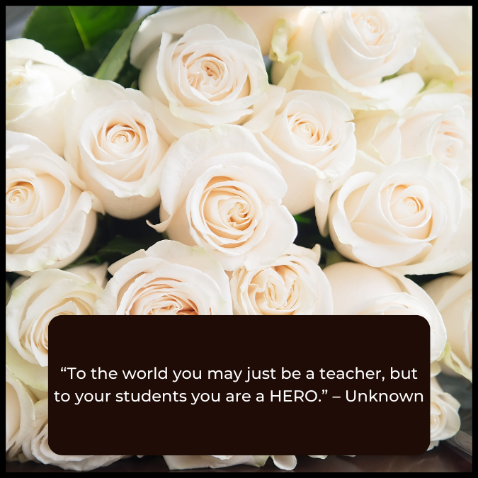 “To the world you may just be a teacher, but to your students you are a HERO.” – Unknown