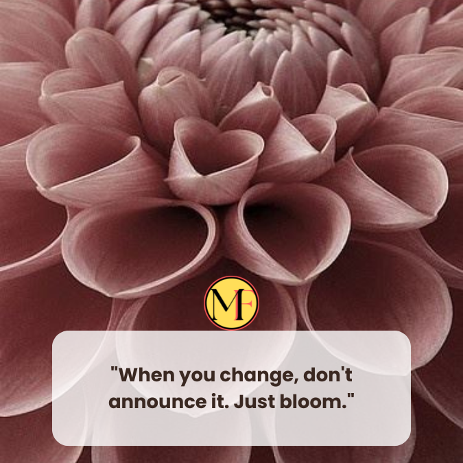 "When you change, don't announce it. Just bloom."