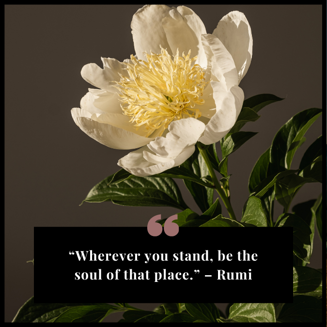 “Wherever you stand, be the soul of that place.” – Rumi