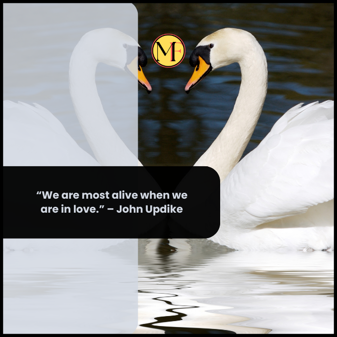 “We are most alive when we are in love.” – John Updike