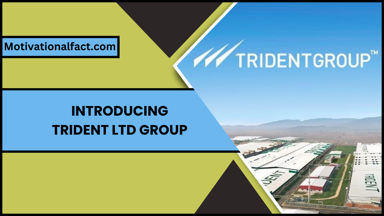https://motivationalfact.com/introducing-trident-ltd-group-a-diverse-range-of-high-quality-products/
