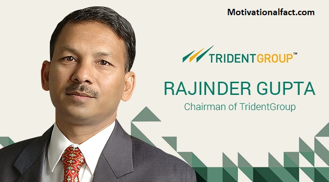 Profile of Trident Ltd