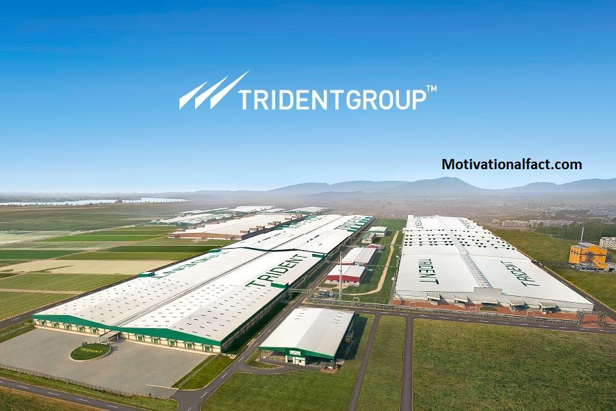 Trident Ltd Group