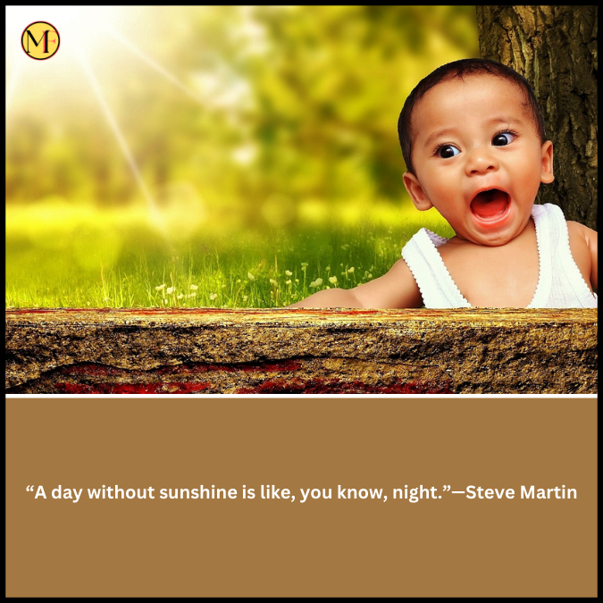 “A day without sunshine is like, you know, night.”—Steve Martin