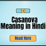 Casanova Meaning in Hindi