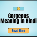 Gorgeous Meaning in Hindi