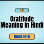Gratitude Meaning in Hindi