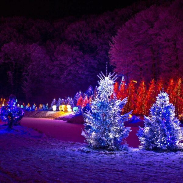 How to Take Beautiful Pictures of Christmas Light Shows