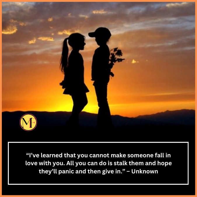  “I’ve learned that you cannot make someone fall in love with you. All you can do is stalk them and hope they’ll panic and then give in.” – Unknown