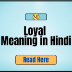 Loyal Meaning in Hindi