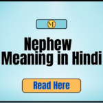 Nephew Meaning in Hindi