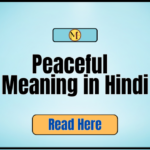 Peaceful Meaning in Hindi