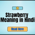 Strawberry Meaning in Hindi