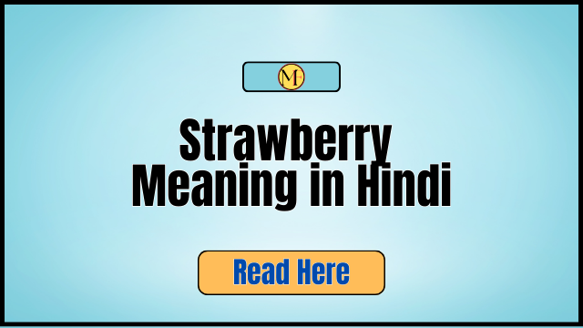 Strawberry Meaning in Hindi