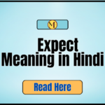 Stream Meaning in Hindi