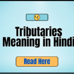 Tributaries Meaning in Hindi