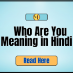 Who Are You Meaning in Hindi