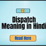 _Dispatch Meaning in Hindi