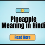 _Pineapple Meaning in Hindi