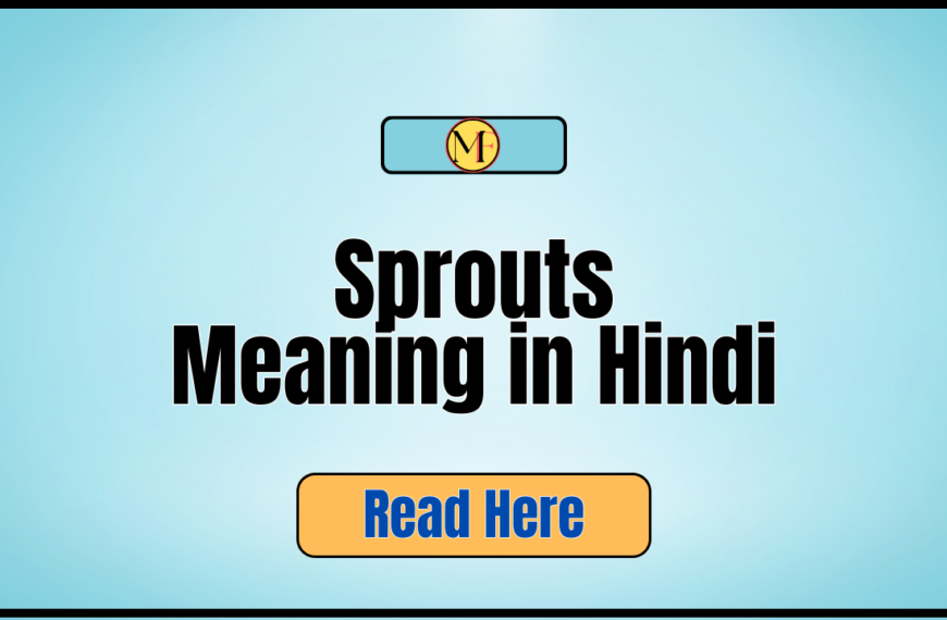 Sprouts Meaning in Hindi