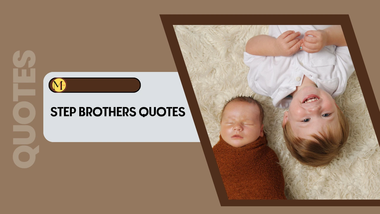 step brothers quotes